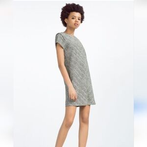 Zara black and white dress